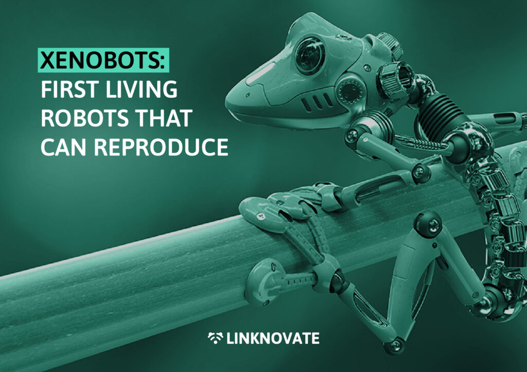 Xenobots: first living robots that can reproduce
