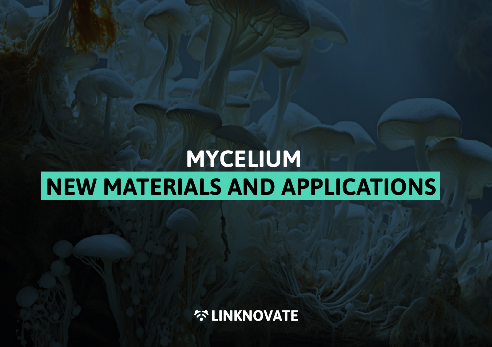 Mycelium: New materials and applications