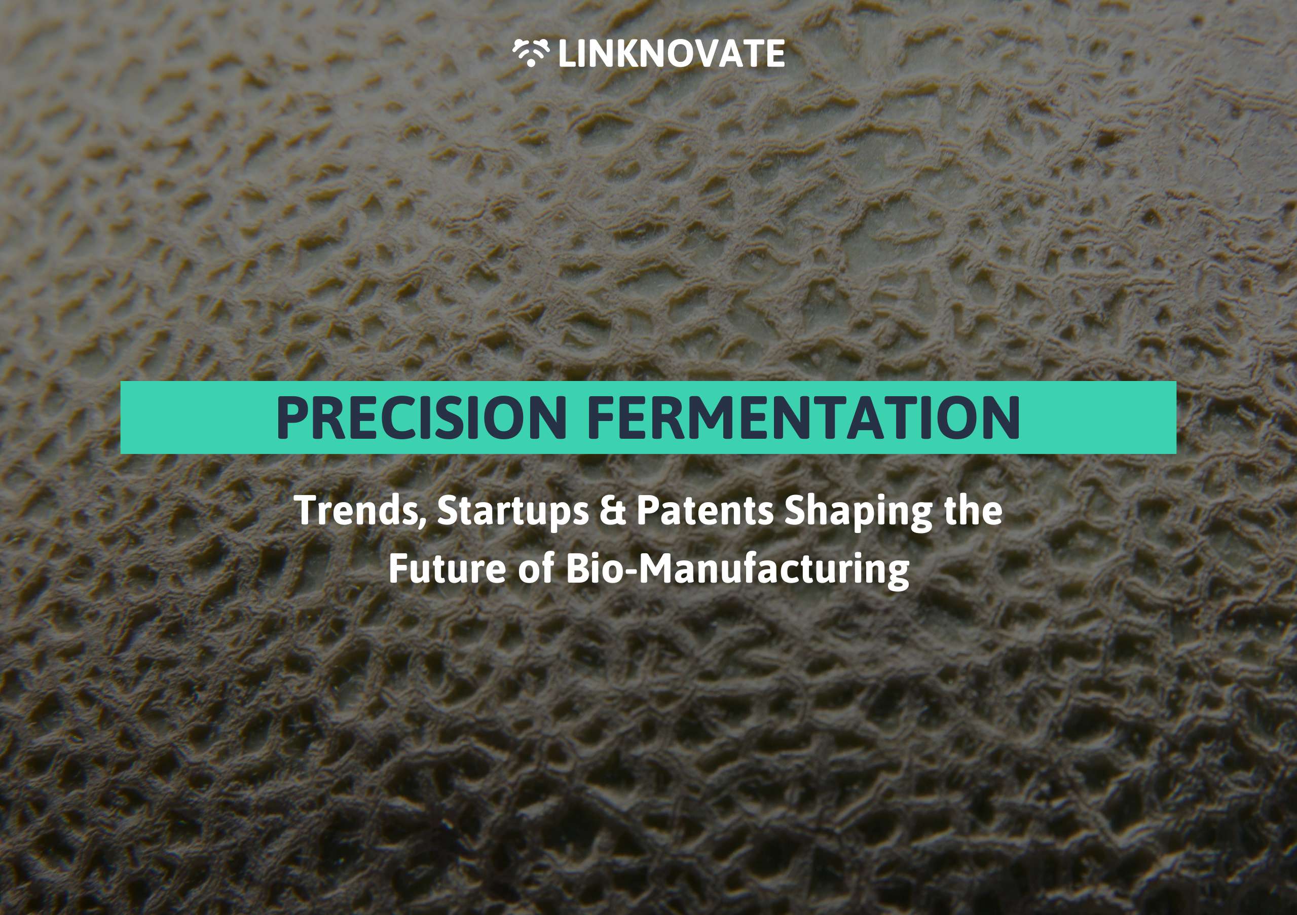 Precision Fermentation in 2026: Trends, Startups & Patents Shaping the Future of Bio-Manufacturing