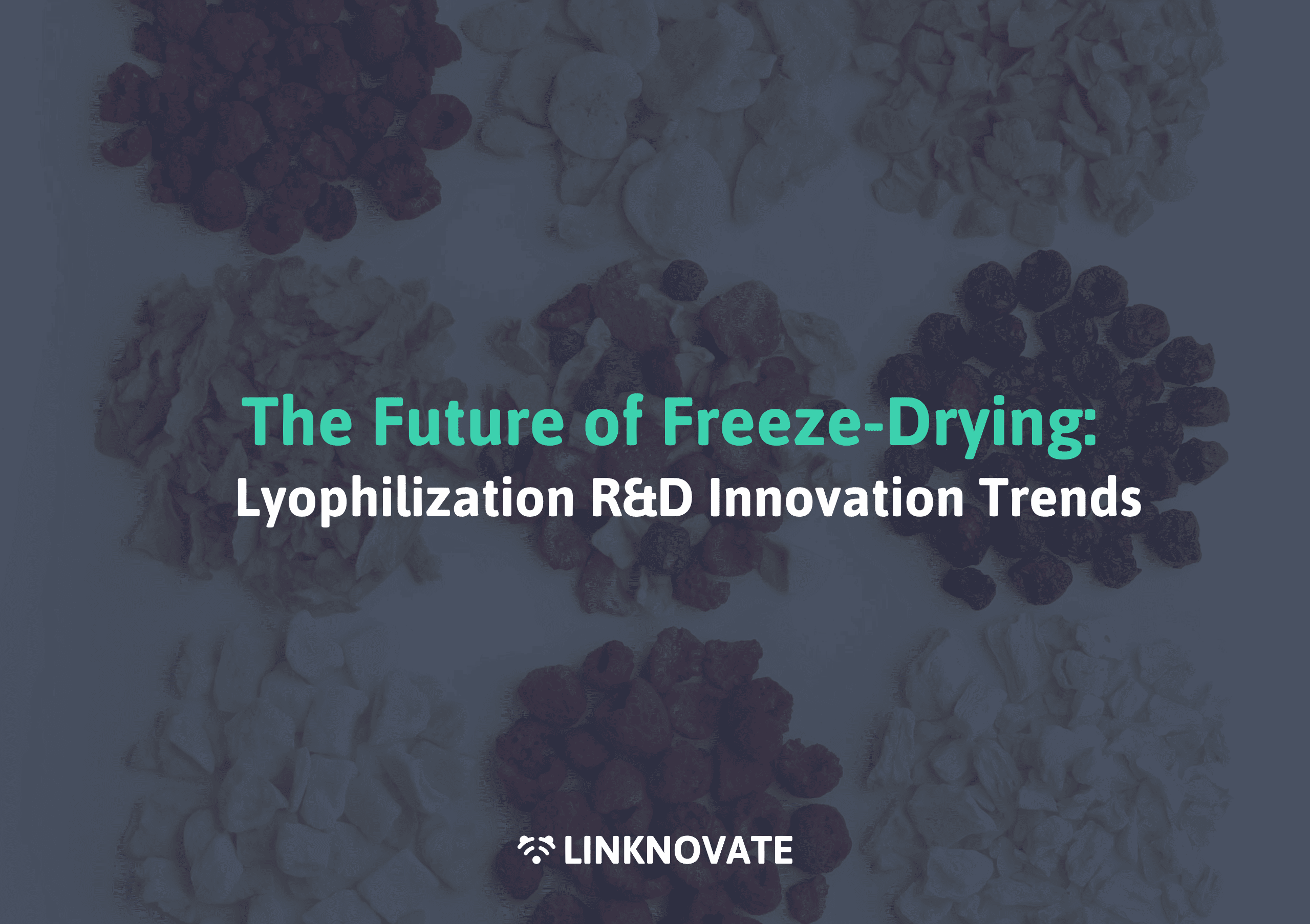 The Future of Freeze-Drying: Lyophilization R&D Innovation Trends to Watch